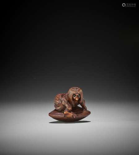 TSUYAMA: A WOOD NETSUKE OF A KAPPA CAUGHT IN A GIANT HAMAGUR...