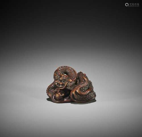 SHURAKU: A POWERFUL AND LARGE WOOD NETSUKE OF A COILED DRAGO...