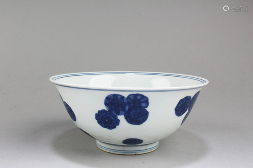 Chinese Blue & White Porcelain Bowl