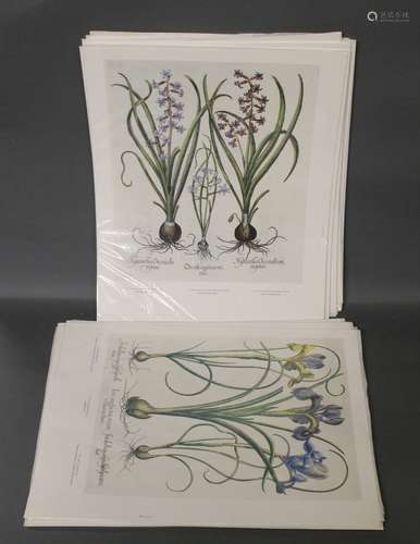 26 polychrome botanical prints (Garden at Eichstatt),