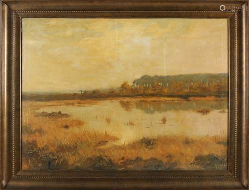 Gerard Krol, View of Aamsveen