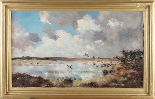 Jo Schrijnder, Polder view with ducks flying up