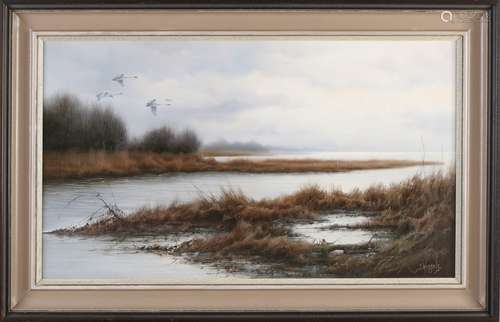 Jan Wessels, Polder view with flying swans