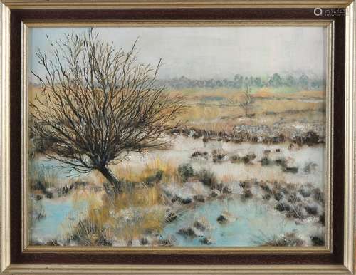 Not signed, Snowy peat area with willow