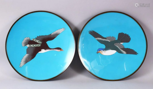 A PAIR OF JAPANESE MEIJI PERIOD CLOISONNE DUCK PLATES /