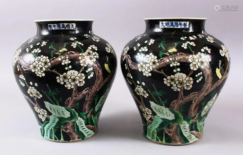 A PAIR OF 19TH CENTURY CHINESE FAMILLE NOIR GINGER