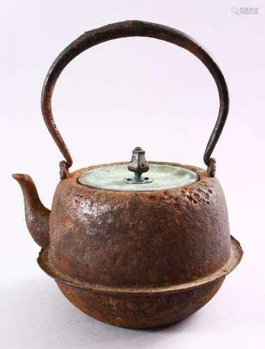 A JAPANESE EDO / MEIJI PERIOD IRON MOULDED BIRD KETTLE