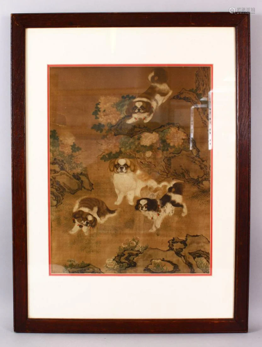 A FRAMED CHINESE PICTURE OF PEKING DOGS, cdepicting