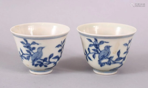 A SMALL PAIR OF CHINESE BLUE & WHITE PORCELAIN TEA