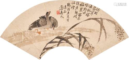 Bian Shoumin 1684-1752 邊壽民 1684-1752 | Geese and Reeds 蘆...