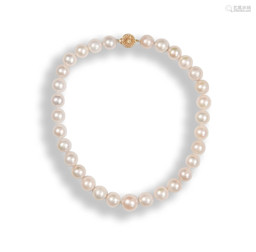 South Sea Pearl Choker with 18K Gold Clasp