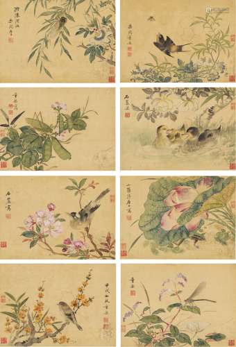 董棨（1772～1844） 1814年作 花卉鸟虫册 册页（八页） 设色绢本