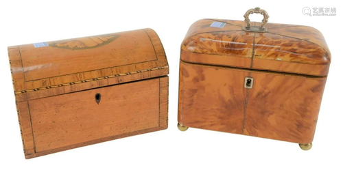 Two Tea Caddies to include a Regency tortoise shell tea