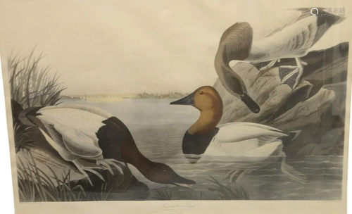 After John James Audubon (American, 1785 - 1851),