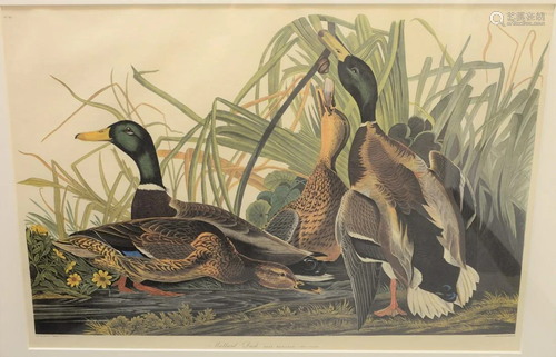 Reproduction after John James Audubon, 