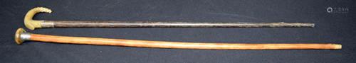 A Buffalo horn handled walking cane with a silver