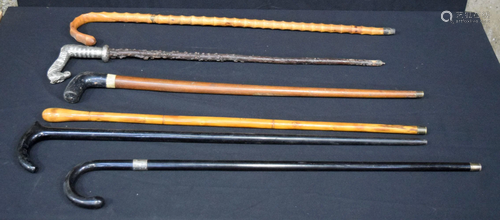 A collection of six walking sticks 92cm (6).