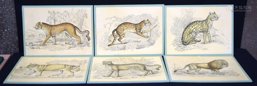 A set of six prints of stylised big cats 35 x 30cm. (6)