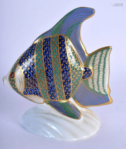 Royal Crown Derby paperweight of an angel fish. 12cm