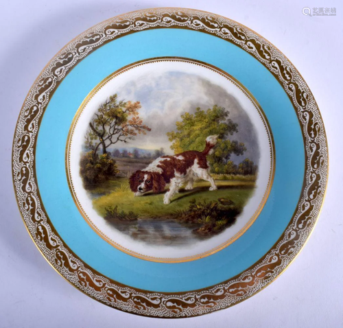 Kerr and Binns Worcester plate painted with a spaniel