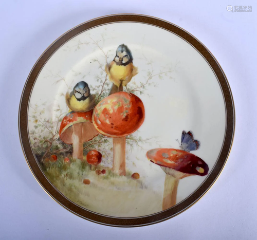 Early 20th c. Cauldon plate painted with blue tits on