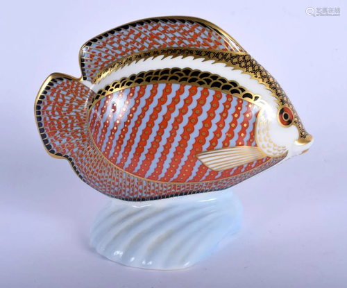 Royal Crown Derby paperweight of a gourami. 14.5cm