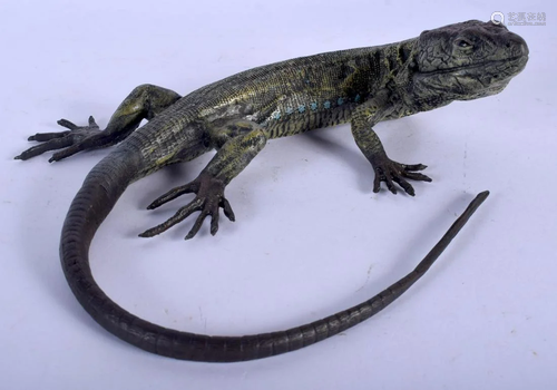 A CONTEMPORARY COLD PAINTED BRONZE LIZARD. 19 cm x 18