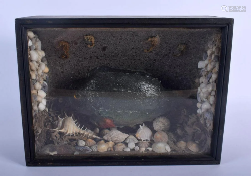 AN ANTIQUE TAXIDERMY PUFFER TYPE FISH encased within a