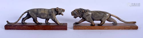 A RARE PAIR OF 19TH CENTURY CONTINENTAL CARVED Buffalo