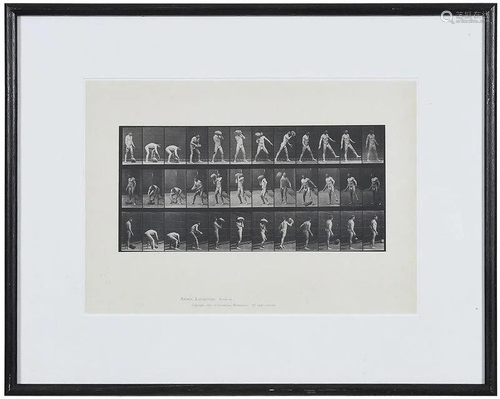 Eadweard Muybridge