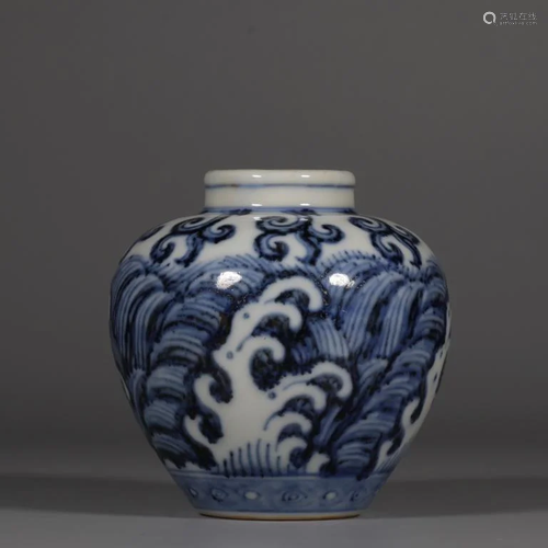 Chinese Blue and White Porcelain Jar,Mark