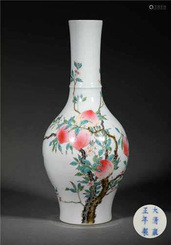 A FAMILLE ROSE GLAZE PORCELAIN VASE