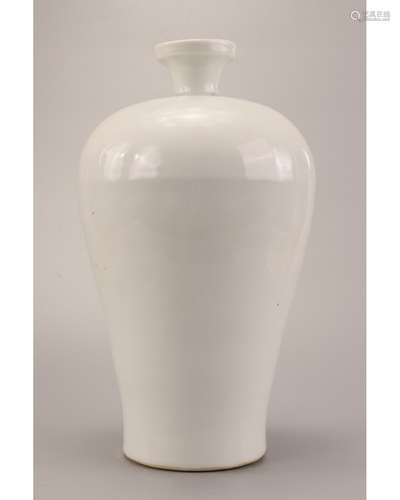 A TIANBAI MEIPING VASE