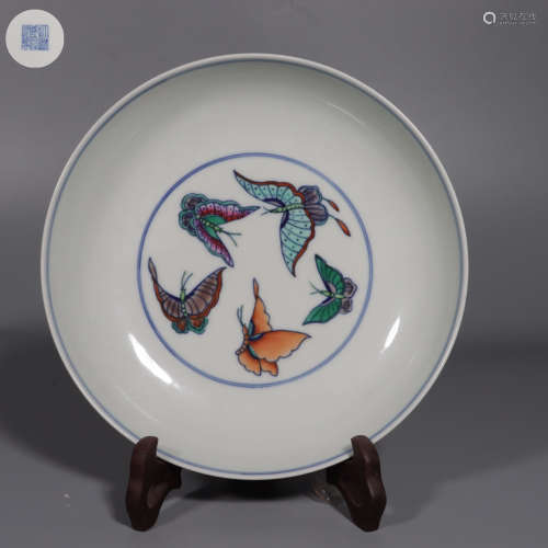 Clashincolor Plate with Colorful Butterfly Patterns