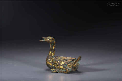 Copper-and-gold Duck