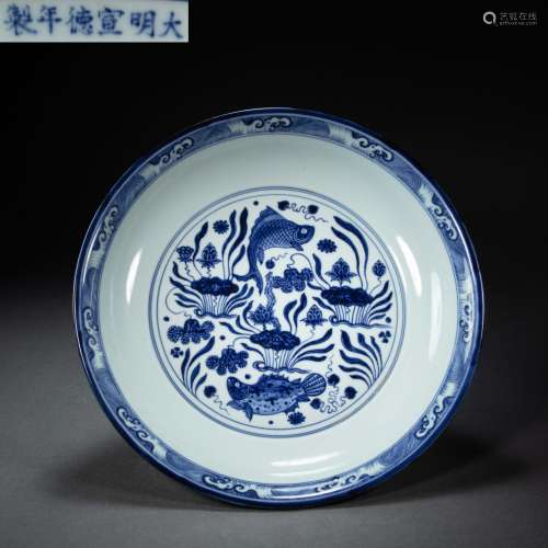CHINESE MING DYNASTY BLUE AND WHITE FISH ALGAE PATTERN PLATE