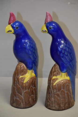 Pr. of 19th C. Chinese Porcelain Famille Rose Parrots