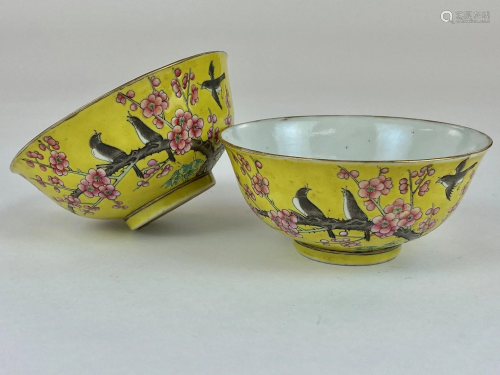 Pair of Chinese Guangxu Period Yellow Bowls