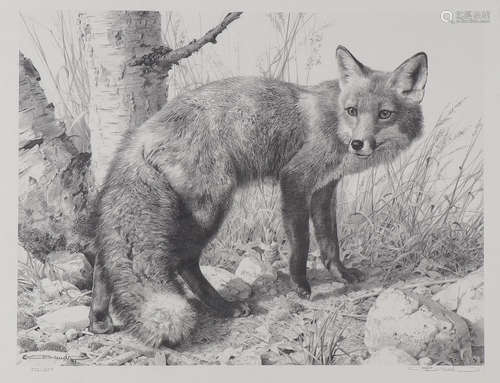 SIX NICE SIGNED WILDLIFE PRINTS