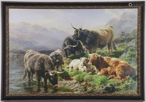 SCOTTISH HIGHLAND CATTLE