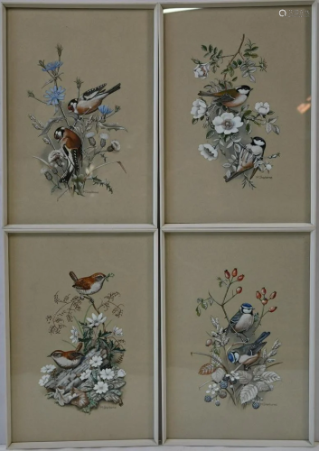 M Sherborne - A set of four studies of garden birds