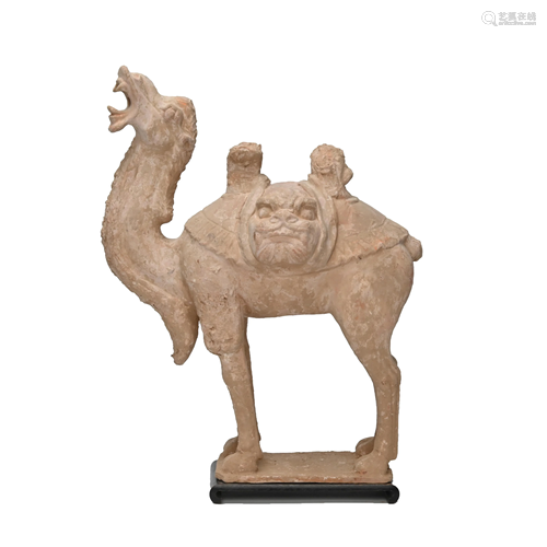 A Tang Dynasty Pottery Figure of Camel.