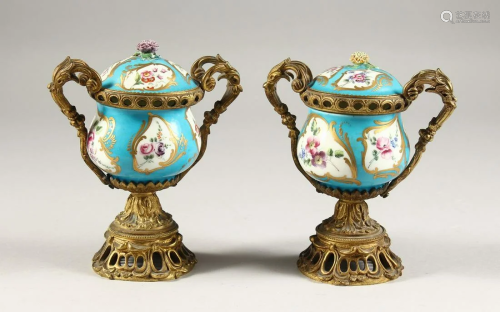 A GOOD PAIR OF 19TH CENTURY SEVRES PORCELAIN AND …