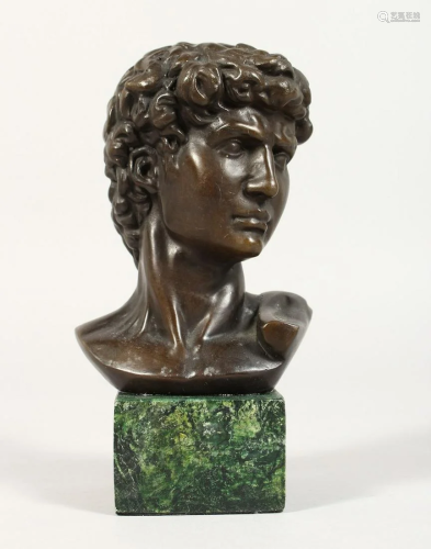 AFTER THE ANTIQUE, A bronze bust on a marble plinth.