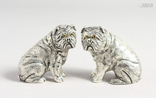 A PAIR OF .800 BRITISH BULLDOG DOG SALT AND PEPPERS