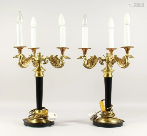 A PAIR OF FLYING SWAN ELECTRIC LAMP BASES