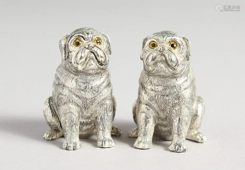 A PAIR OF 800 PUG DOGS SALT AND PEPPERS