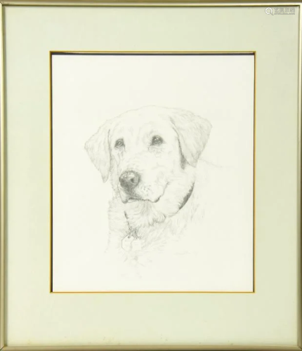 Framed & Signed Dog Portrait of Golden Retriever
