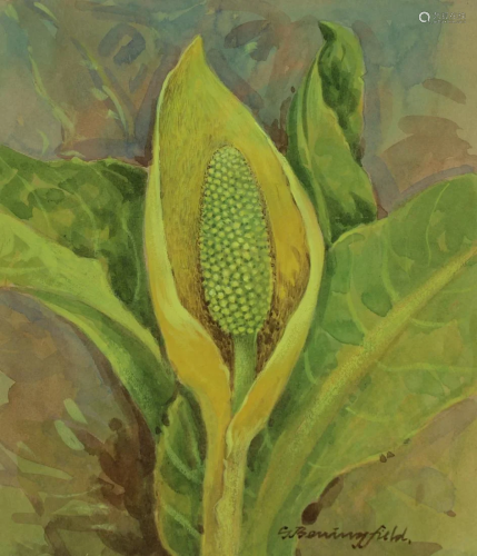 Gordon Beningfield (1936 - 1998) Skunk Cabbage