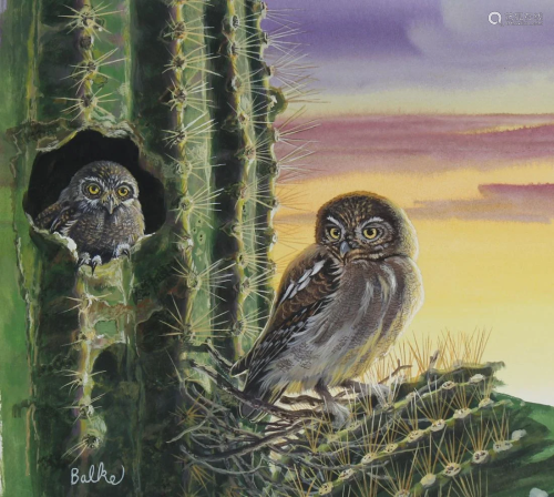 Don Balke (B. 1933) Elf Owl Perched in Saguaro